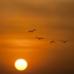 Northwest Ohio Cooling Centers