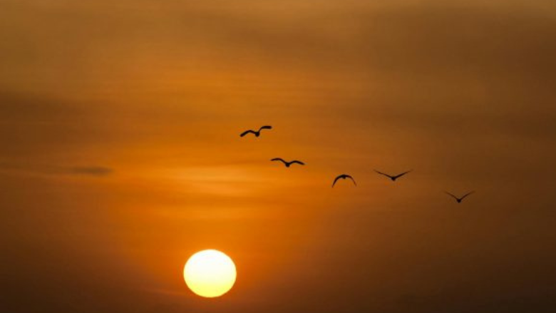 Northwest Ohio Cooling Centers