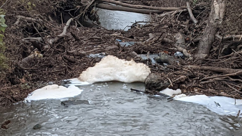 Swan Creek Clean-Up Brings Questions to Residents in Henry, Lucas, and Fulton Counties