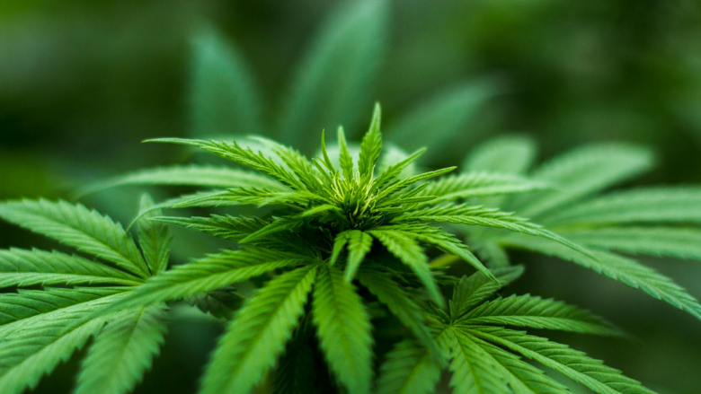 NW Ohio Towns Enact Marijuana Moratoriums