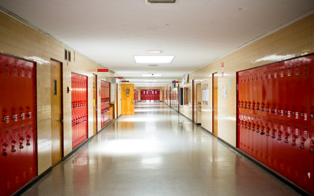 Napoleon, Perrysburg School Districts Face Starkly Different Outcomes in Levy Votes