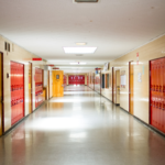 Napoleon, Perrysburg School Districts Face Starkly Different Outcomes in Levy Votes