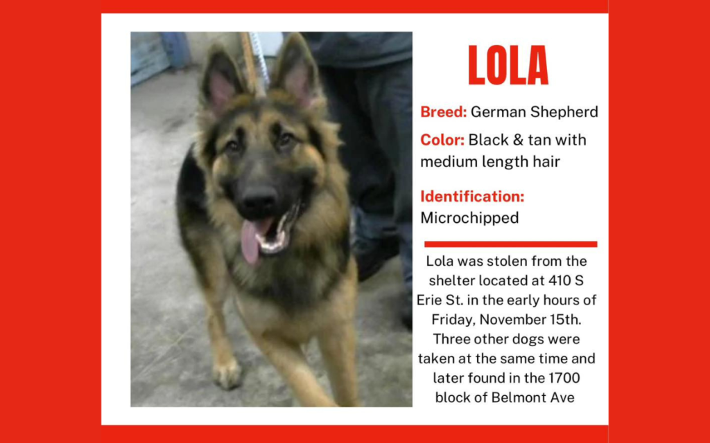 LC4 Facility Broken Into, One Dog Still Missing