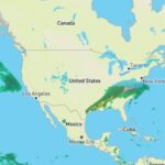 Ice Storm Warning Issued for NW Ohio