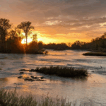 Rhythm on the River Returns June 15 with Singer-Songwriter Megan Bee