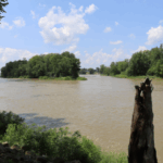 Lake Effect Clarinet Quartet to Perform in Grand Rapids July 20