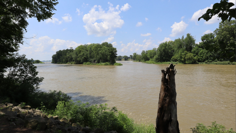 Lake Effect Clarinet Quartet to Perform in Grand Rapids July 20