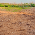 Fallen Timbers Housing Project Collapses; Data Center Speculation Surfaces