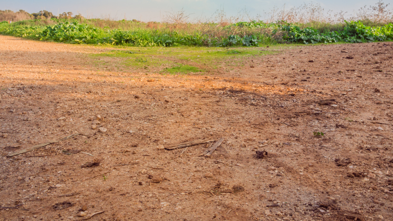 Fallen Timbers Housing Project Collapses; Data Center Speculation Surfaces