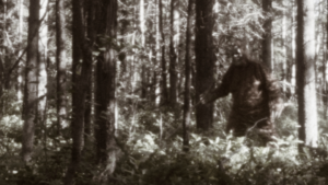 Bigfoot Sightings